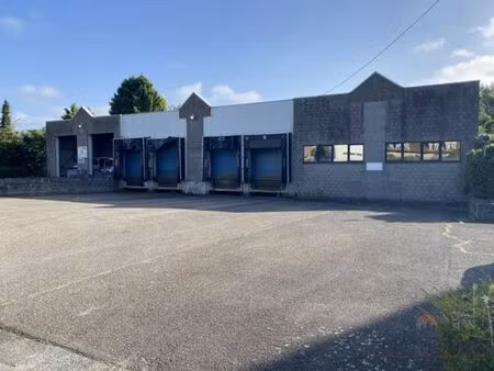 entrepôt logistique à louer à denderleeuw