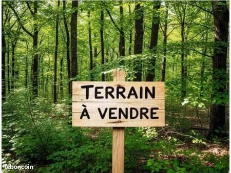 terrain 12 360 m² beganne