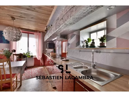 grande maison de village 5 pièces avec terrasse  garage et terrain boisé – le fraysse  pro