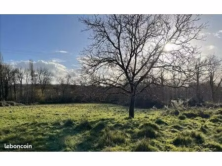 terrain 6 846 m² cours de pile