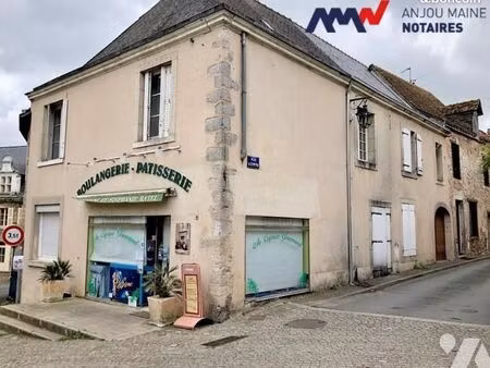 immeuble 179 m² parce sur sarthe