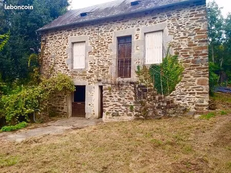 maison et ancien moulin sur 1 78 ha / sougé-le-ganelon (72)
