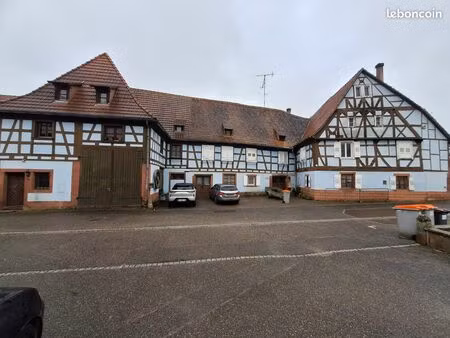 immeuble 500 m² woerth