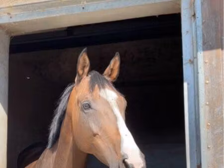 pré terrain ou prairie à louer