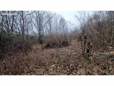 vend terrain agricole