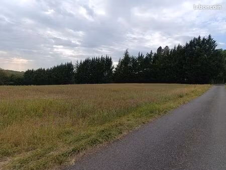 terrain constructible