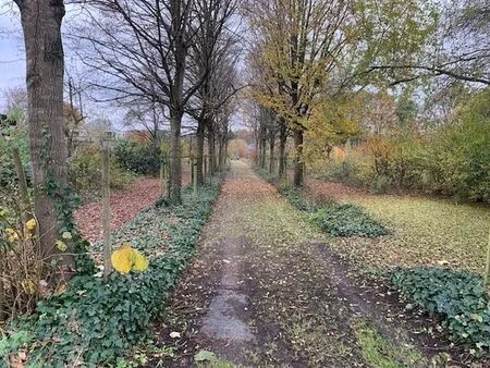 terrain à vendre à hulshout € 235.000 (ldwbb) - d plus vastgoed | zimmo