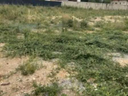 terrain constructible