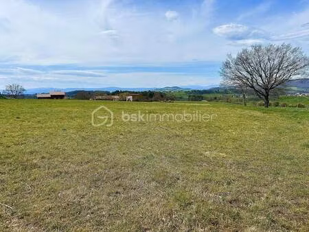 yannick cervelli bsk immobilier