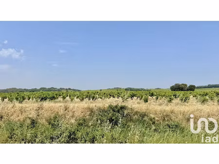 vente terrain 650 m² à bédarrides (84370)  199 000 €