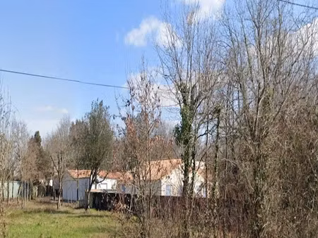 vente terrain 846 m² à le château-d'oléron (17480)  177 000 €