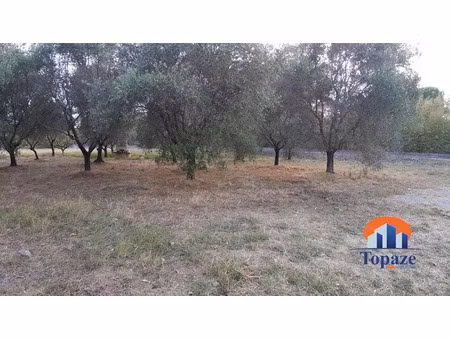 vente terrain 710 m² à puget-sur-argens (83480)  280 000 €