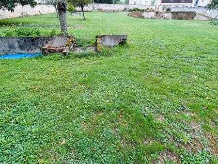 venanzi laetitia capifrance