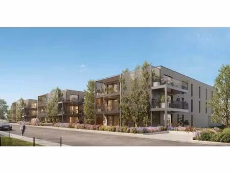 lingenheld immobilier