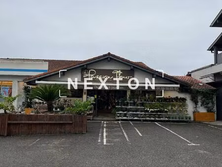 nexton immobilier