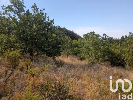 vente terrain 6 500 m²