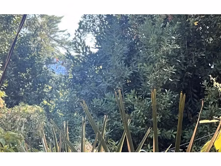 terrain cannes m² t- à vendre  840 000 €