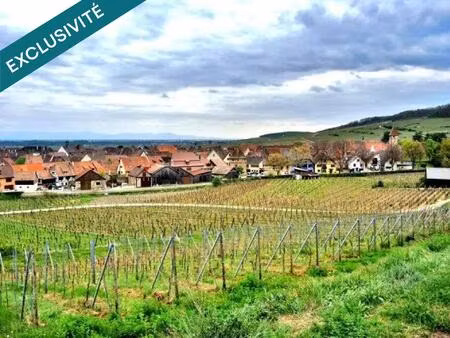 très belle parcelle pour un collectif.