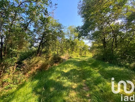 vente surface diverse 145 689 m²