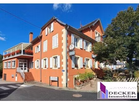 en vente immeuble de rapport 540 m² – 395 000 € |sparsbach