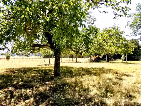 terrain à bâtir opportunité rare dans une commune dynamiqu