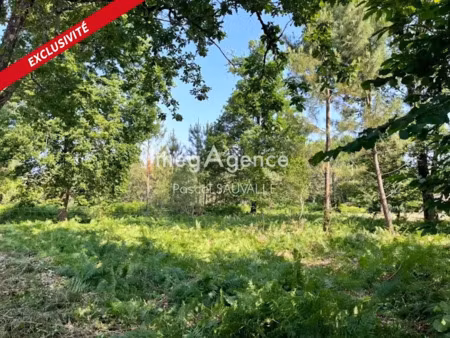 vente terrain 1124 m² à chancelade (24650)  58 000 €