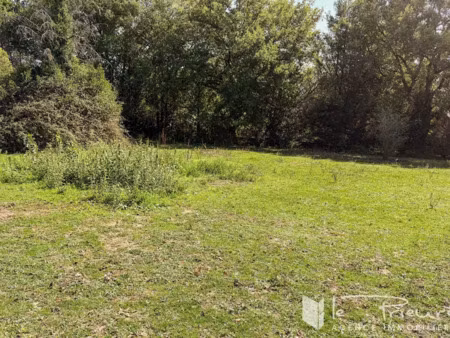 vente terrain 1499 m² à réalmont (81120)  70 000 €