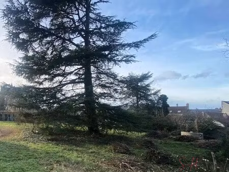 vente terrain 1200 m² à cléry-saint-andré (45370)  97 000 €