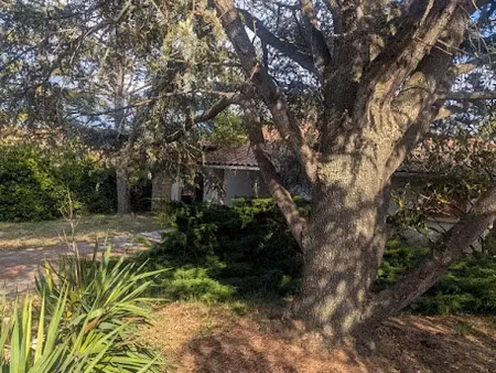 location meublée chambre 1 pièce 12 m² à fonsorbes (31470)  600 €