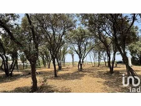 vente terrain piscine à bédarrides (84370) : à vendre piscine / 820m² bédarrides