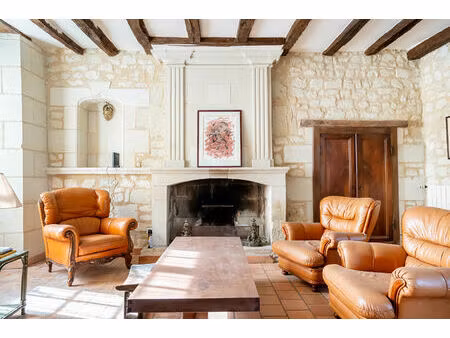 vente maison 10 pièces  304.00m²  le puy