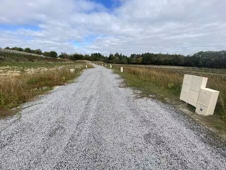 vente terrain à languidic (56440) : à vendre / 273m² languidic