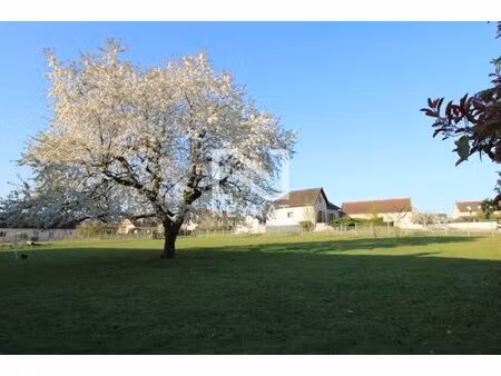 achat terrain 10 000m² varennes le grand 71240