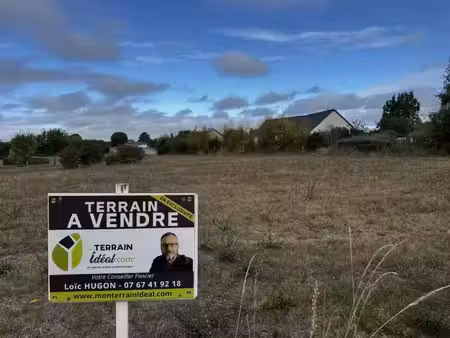 terrain constructible