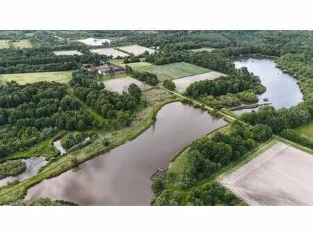 exceptionnelle propriete de chasse - sologne des etangs