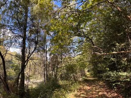 vente terrain 18480 m² jumilhac-le-grand (24630)