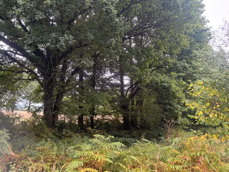 achat terrain 7 600m² bouloire 72440