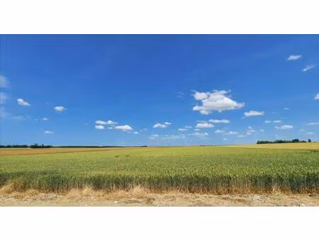 vente terrain 2310000 m² la chapelle-saint-laurian (36150)