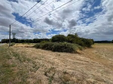 vente terrain 3297 m² autrèche (37110)