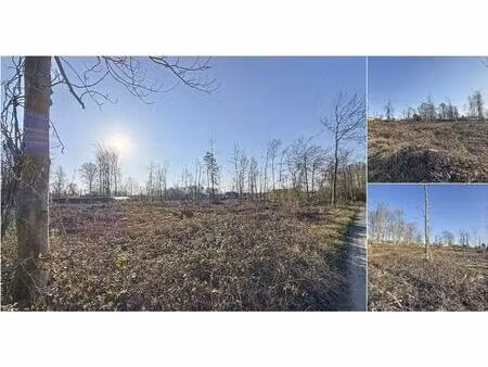 terrain à vendre à rue bois de l'haminde lot 1 florennes (vbd24405)