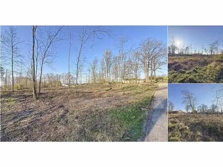 terrain à vendre à rue bois de l'haminde lot 2 florennes (vbd24407)