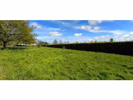 vente terrain à la marne (44270) : à vendre / 876m² la marne
