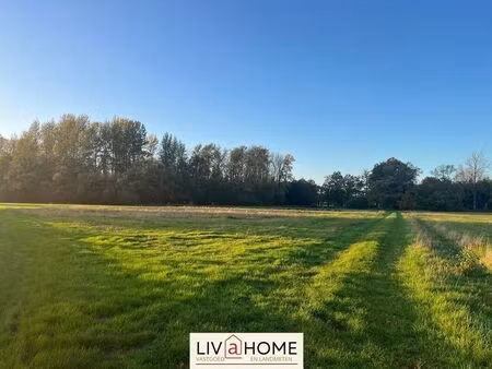 terrain à vendre à herselt € 156.000 (le0gg) - liv@home | zimmo