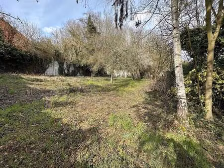 parcelle de jardin