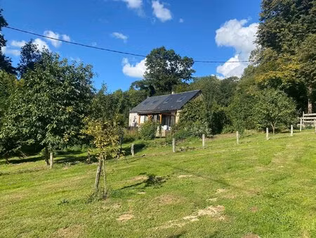 en bourgogne  morvan des lacs  secteur planchez  maison rénovée sur environ 6000 m2 terrai