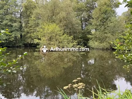 étangs d'environ 1250m² sur un terrain de 8000m2.