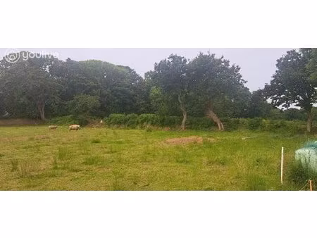 terrain constructible au conquet