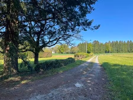 vente maison 7 pièces 189 m² saint-yrieix-la-perche (87500)