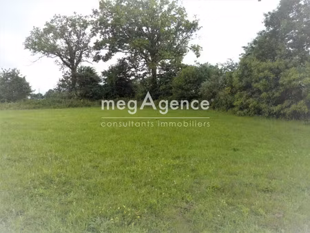 vente terrain 2312 m² à saint-berthevin-la-tannière (53220)  8 000 €
