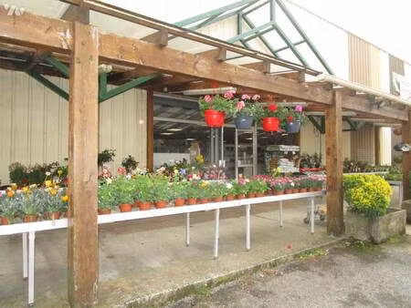 local commercial à vendre